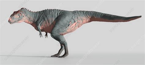 Artwork of the dinosaur Meraxes gigas - Stock Image - F036/5366 ...