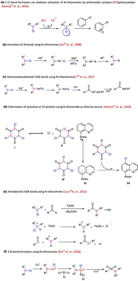 Primary Reaction Mechanisms For The Oxidative Transformations And