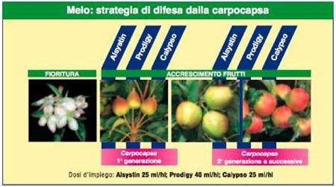 Bayer Per Le Pomacee Tutte Le Linee Tecniche Per La Difesa Difesa E