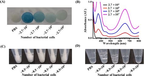 Biosensors Free Full Text Rapid Detection Of Pathogenic Bacteria By