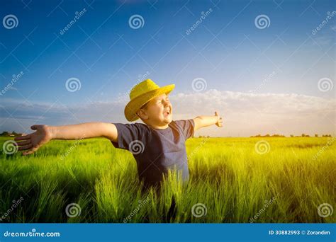 Happy Boy In The Middle Of Wheat Fields Stock Image Image Of Healthy