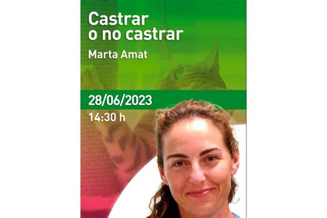 Castrar O No Castrar Webseminar De Vetoquinol Aborda Los Efectos De La