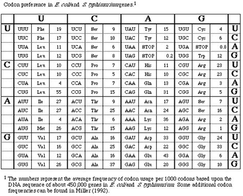 Anticodon Chart