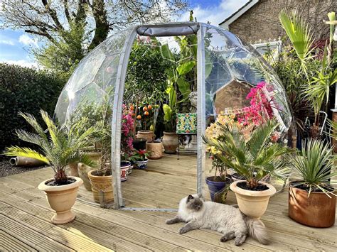 Greenhouse Dome A Year Round Grow Dome For Your Plants