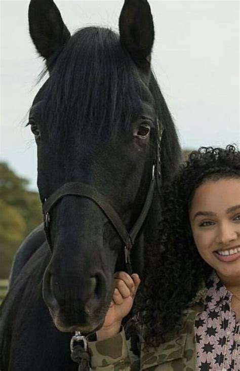 raven horse   rein tv show horse costumes