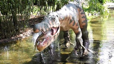 Dino Exhibit The Memphis Zoo Youtube