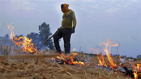 AAP BJP Spar On Stubble Burning Blame Each Others Govts In Punjab