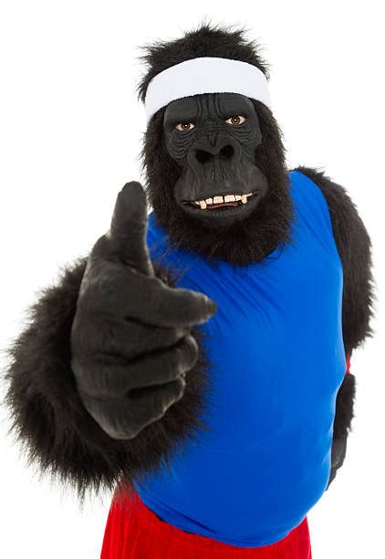 Monkey Thumbs Up Stock Photos, Pictures & Royalty-Free Images - iStock