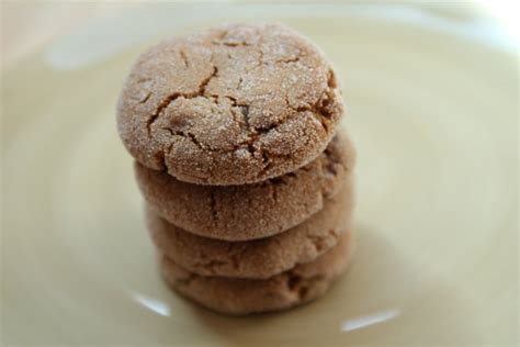 The Ultimate Ginger Cookie OrnaBakes