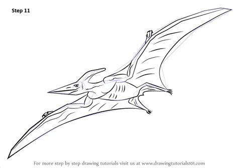 Learn How to Draw a Pterodactyl (Other Creatures) Step by Step ...