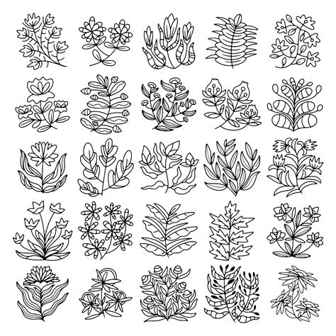 Premium Vector Set Of Hand Drawn Flower And Leaves Vector