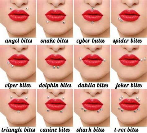 Types Of Lip Piercings Piercing Chart Piercings Face Piercings