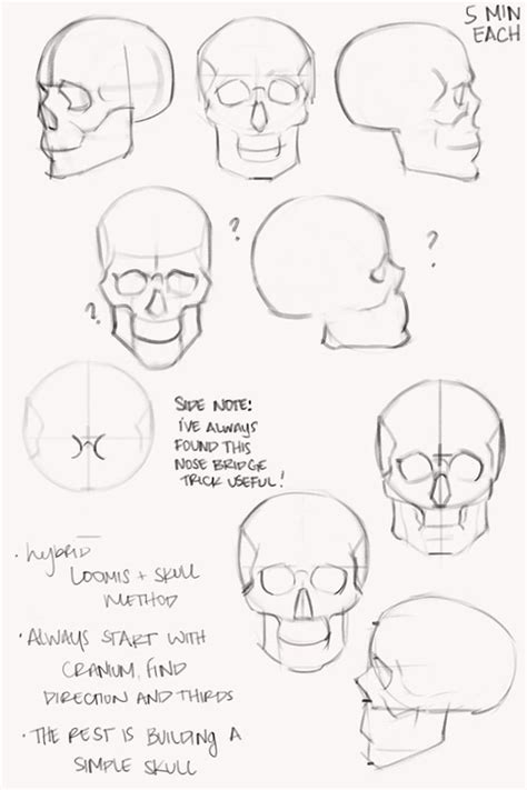 Pin By Caiden On Anatomy Reference In Realistic Drawings Human