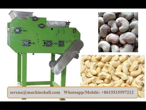 Automatic Raw Cashew Nut Shelling Machine Peeling Rate Youtube