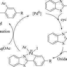 Proposed Mechanism For Pd Catalyzed Directed Arylation With AgI ArI