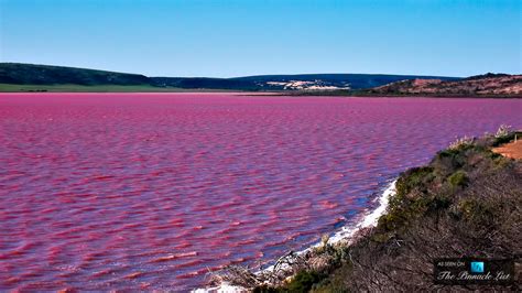 The Remarkable Pink Lake Hillier Western Australias Untouched