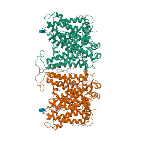 Rcsb Pdb Tya Cryo Em Structure Of Human Anion Exchanger Modified