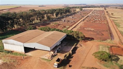 Confinamento De Gado Nova Am Rica Decola Gest O Afinada