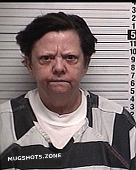 BORDERS SUSAN LYNN 04/02/2023 - Bay County Mugshots Zone