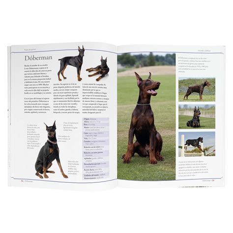 Enciclopedia De Las Razas De Perros Lexus Editores Bolivia