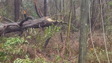 Dozens of power lines and trees fallen after severe weather in Burke County