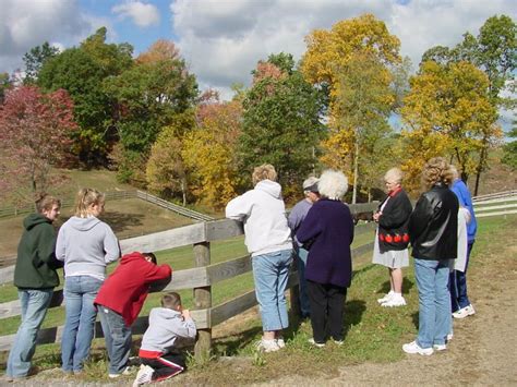 Enjoy Ohios Fall Beauty By Taking A Scenic Driving Tour My Ohio Fun