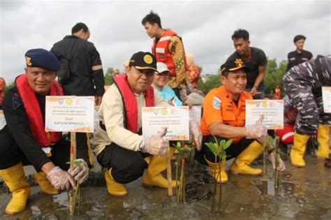 Pemprov Bengkulu Dukung Reboisasi Mangrove Kawasan Pesisir Pantai