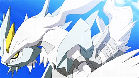 White Kyurem Pokémon Amino