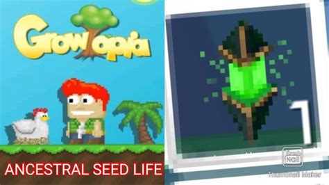 Fungsi ANCESTRAL SEED LIFE ANCES HIJAU ANCES GREEN Di Growtopia