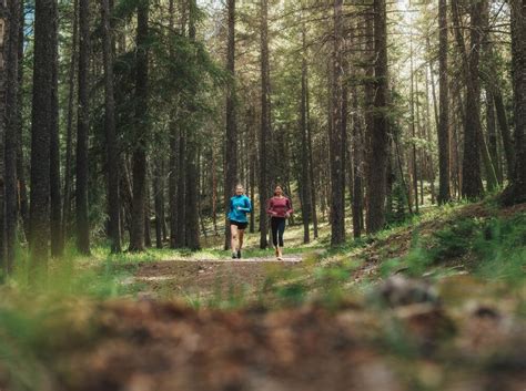 Hiking in Banff and Lake Louise | Banff & Lake Louise Tourism