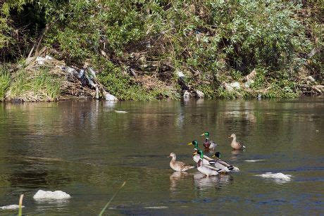 19 Los angeles river basin Stock Pictures, Editorial Images and Stock ...