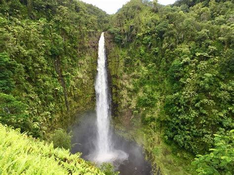 We Fall Hard For The Big Water Sight In Hilo Mark Bialczak