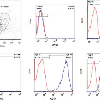 Flow Cytometry Identification Of Human Mesenchymal Stem Cells Hmscs