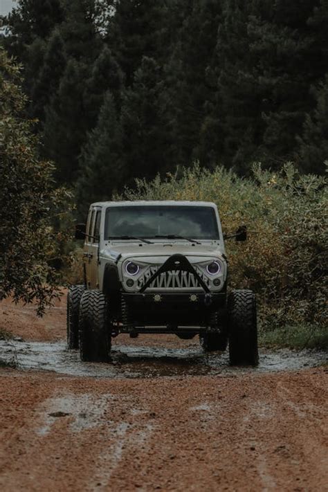 Jeep on Dirt Road in Forest · Free Stock Photo