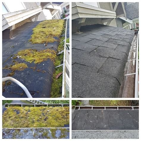 What Is Roof Cleaning? | EnviroClean Industries