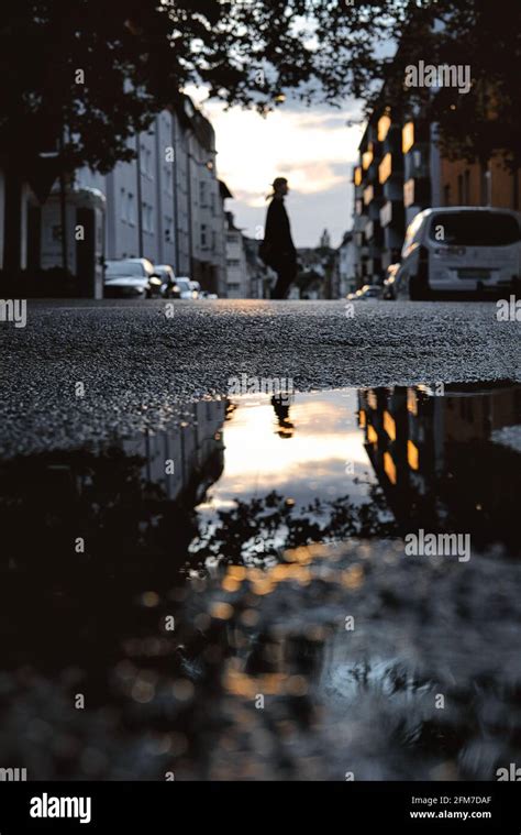 Low Angle Shot Of Reflection In A Puddle On The Street After The Rain