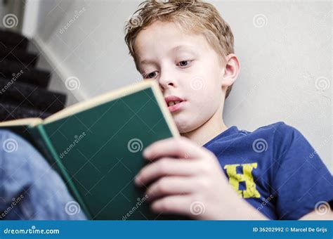 Ragazzo Che Legge Un Libro Fotografia Stock Immagine Di Interno 36202992