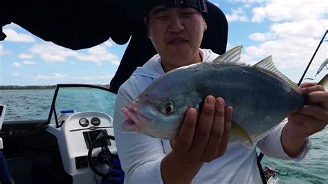 Epic Straylining In The Far North NZ Basic Fishing YouTube