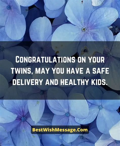 85 Baby Shower Wishes For Twins Greetings And Messages