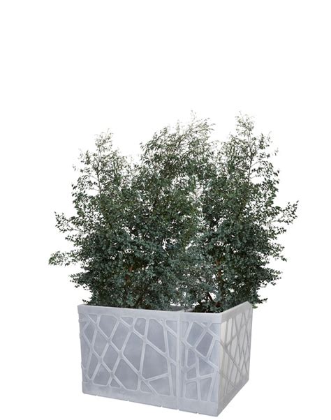 Jardini Re Haute Rectangulaire En R Sine Flowebox X Cm Idel Pots