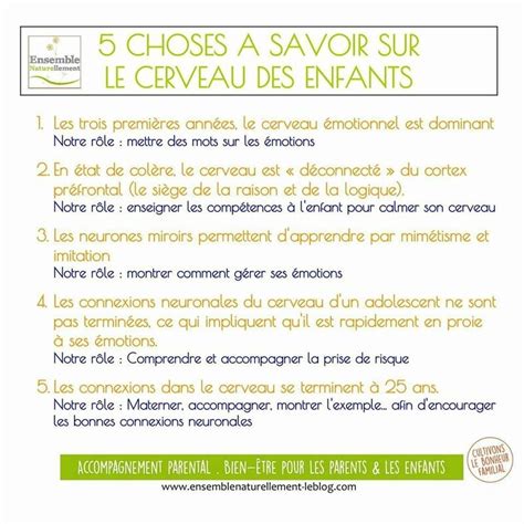 Choses Savoir Sur Le Cerveau Des Enfants Celinefassmat