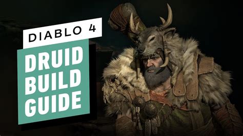 Diablo 4 Best Druid Builds Does It Need A Buff YouTube