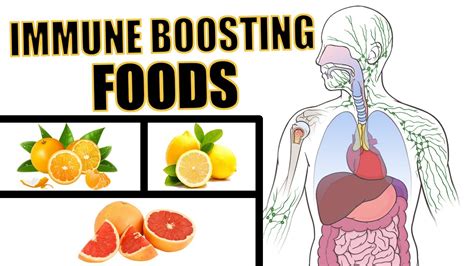 Boost Your Immune System Naturally Top Foods And Recipes You Need To