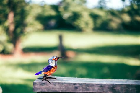 IJsvogel Glazen Vogel Handgemaakt Bontgekleurd Glas Van Loranto City