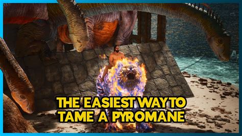 New Most Effective Way To Tame A Pyromane Ark Survival Ascended