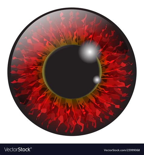 Red Iris Eye Realistic Set Design Isolated On Vector Image