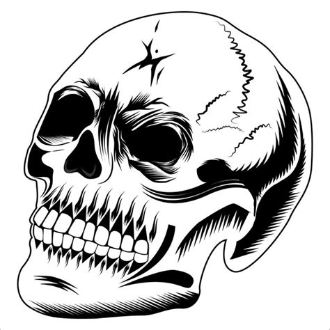 Premium Vector Skull Vector Illustration