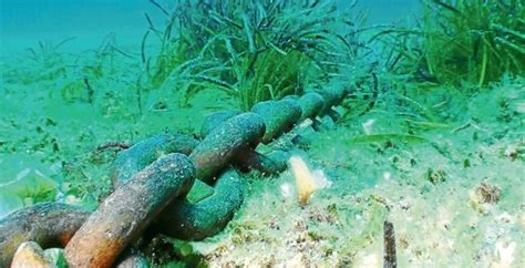 Detectan Barcos Fondeados Sobre Posidonia En D As De Vigilancia