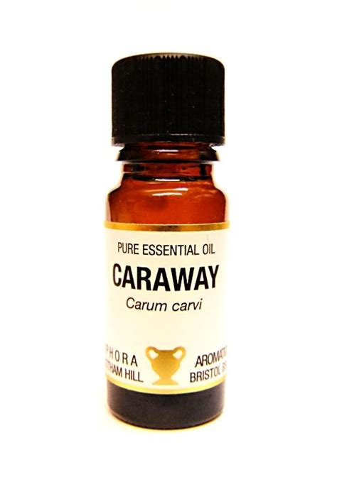 Pure Essential Oil Caraway Carum Carvi Spr11561