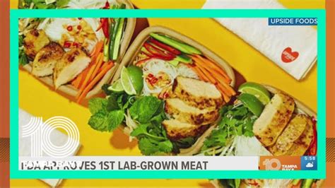 FDA Approves First Lab Grown Meat YouTube